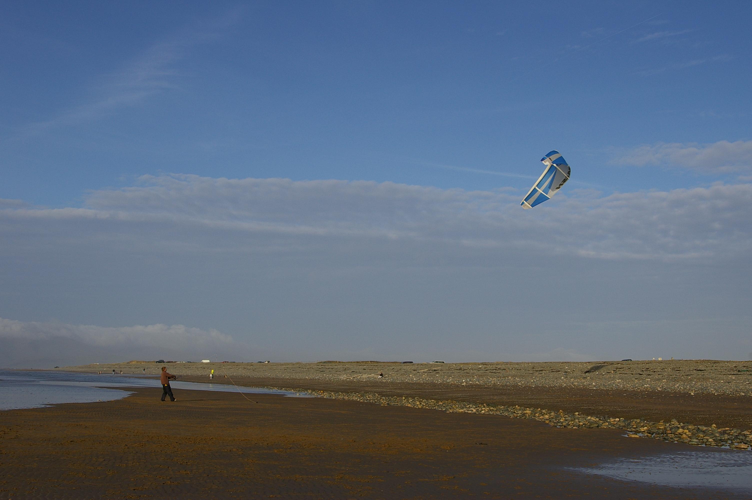 Click now to see this image full size.