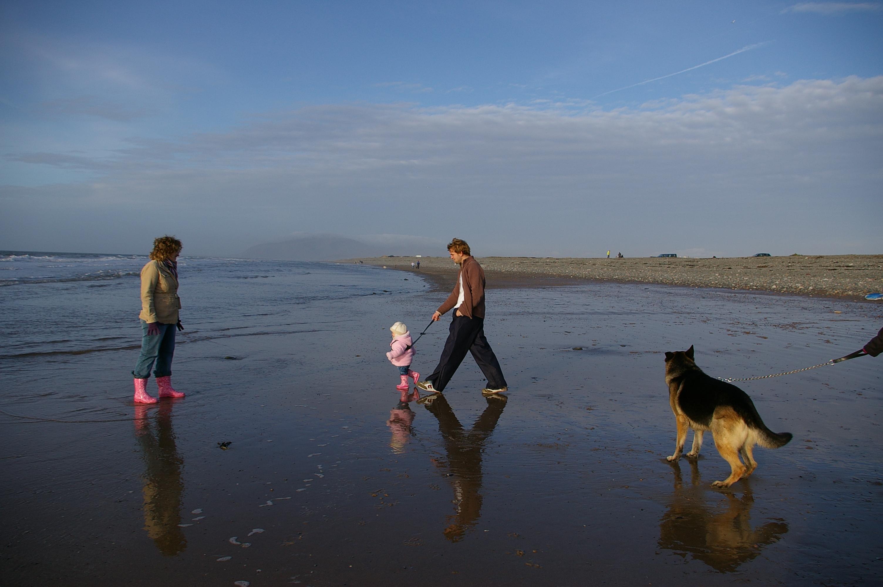 Click now to see this image full size.