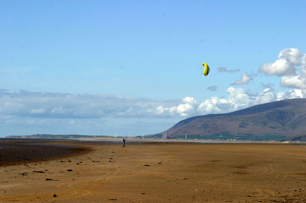 Click now to see this image full size.