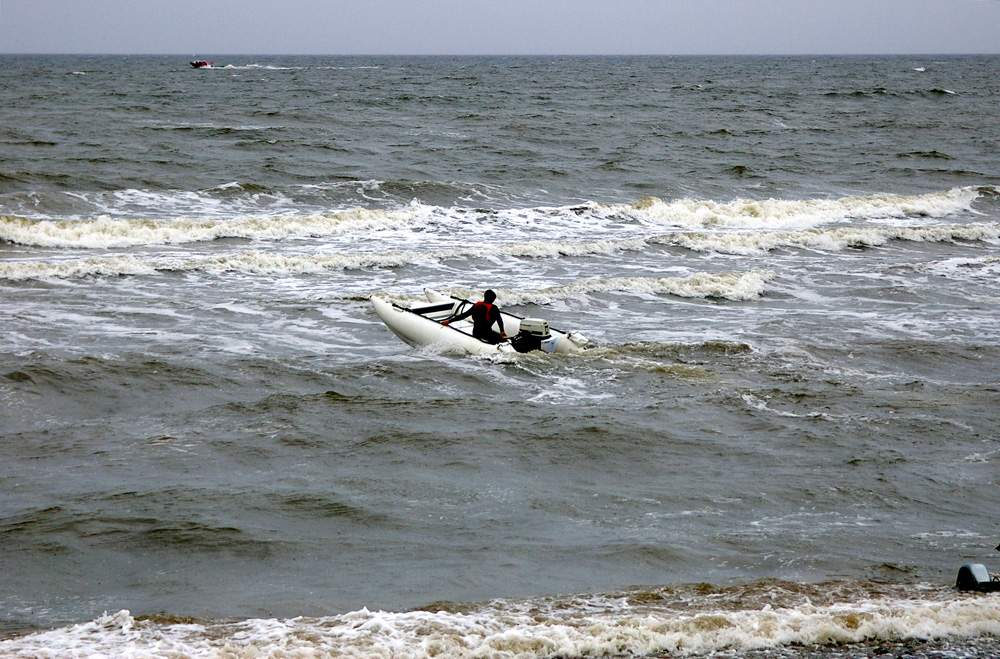 Click now to see this image full size.