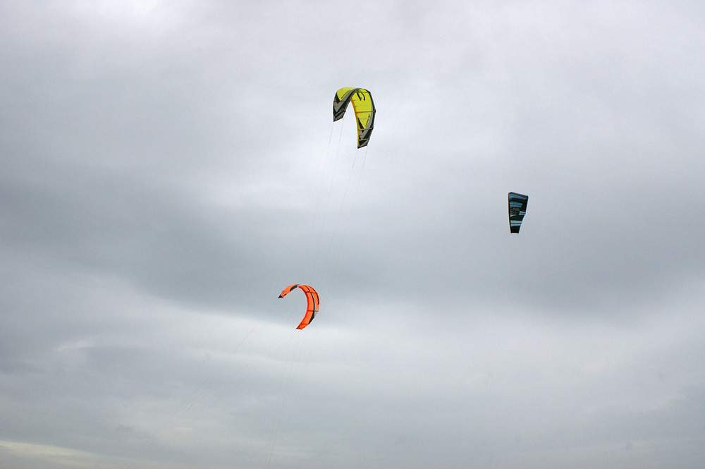 Click now to see this image full size.