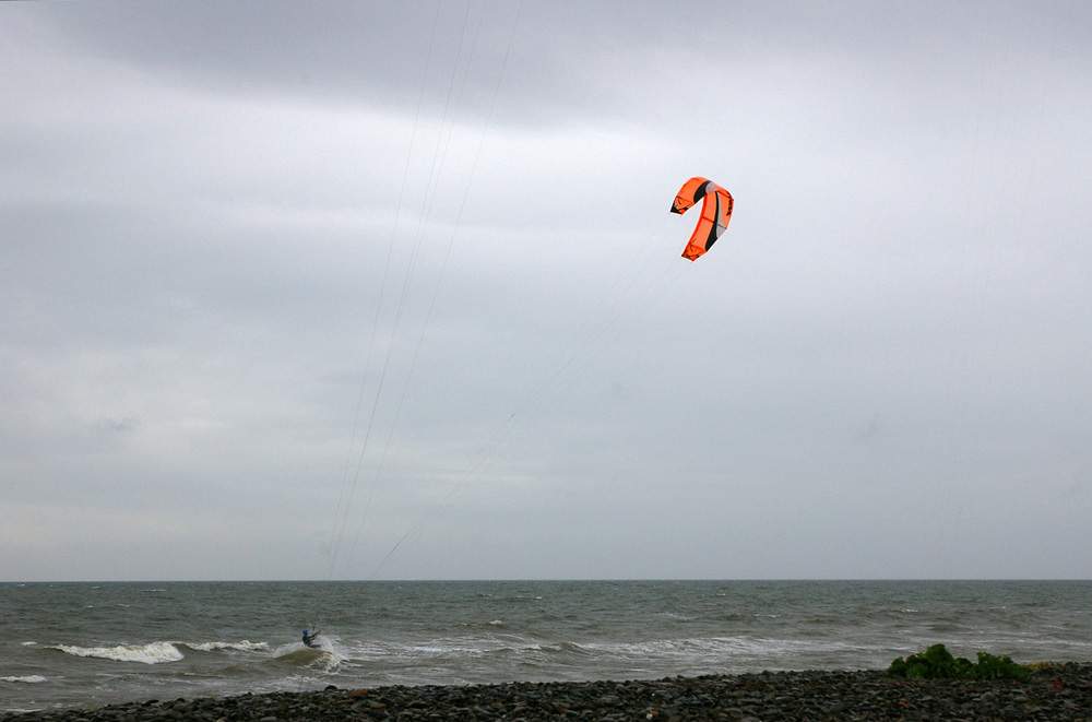 Click now to see this image full size.