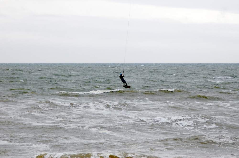 Click now to see this image full size.