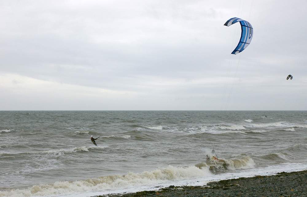 Click now to see this image full size.