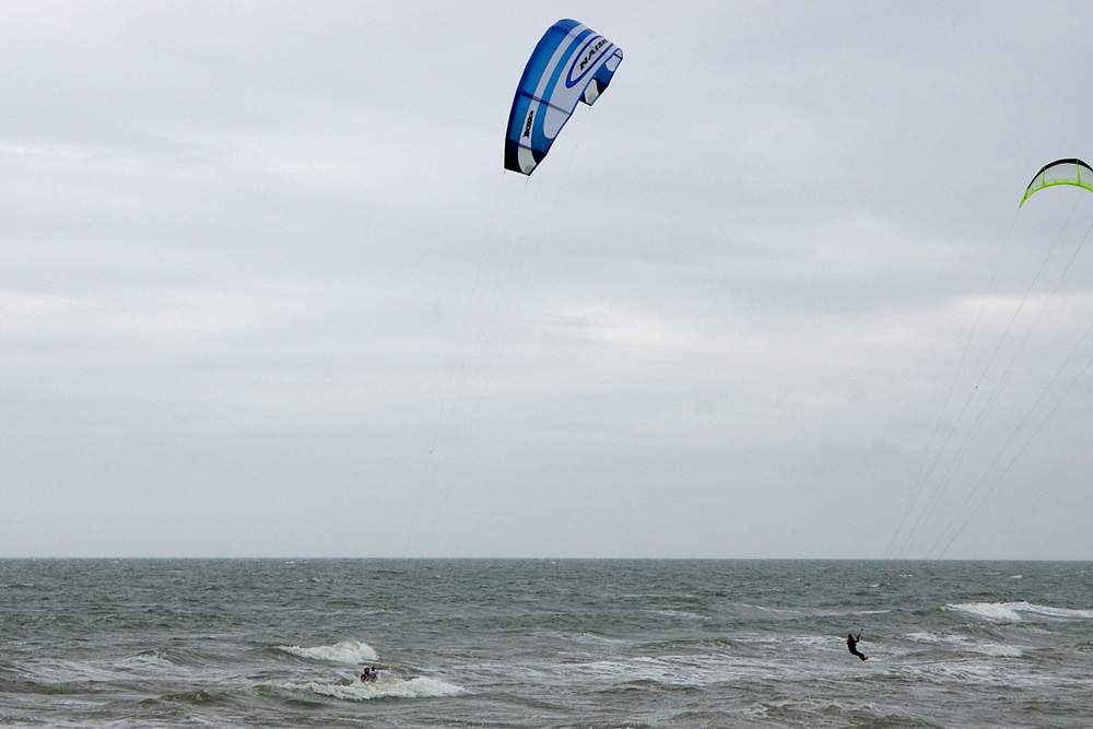 Click now to see this image full size.