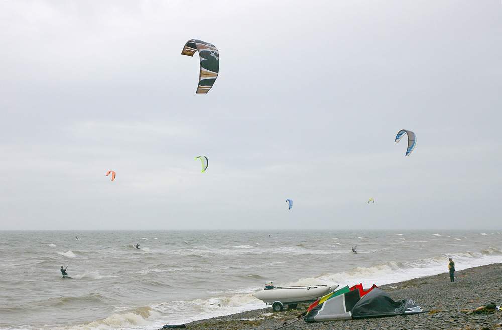 Click now to see this image full size.