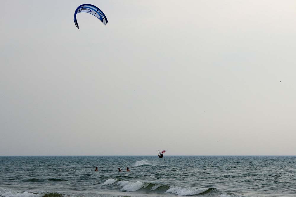 Click now to see this image full size.