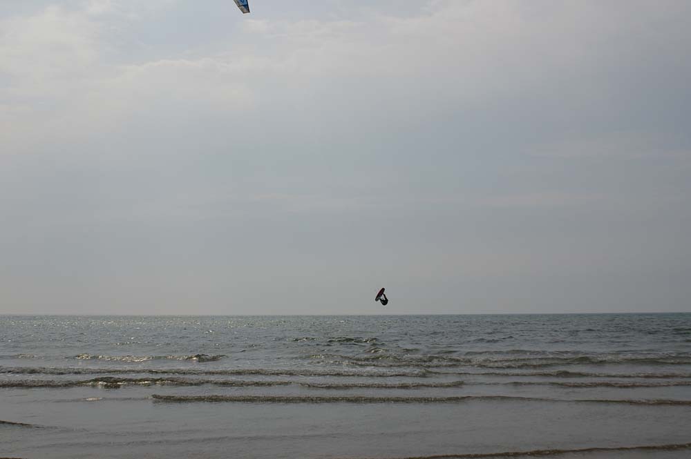 Click now to see this image full size.