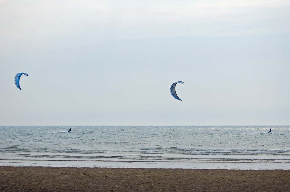 Click now to see this image full size.