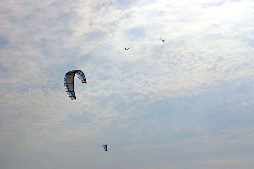 Click now to see this image full size.