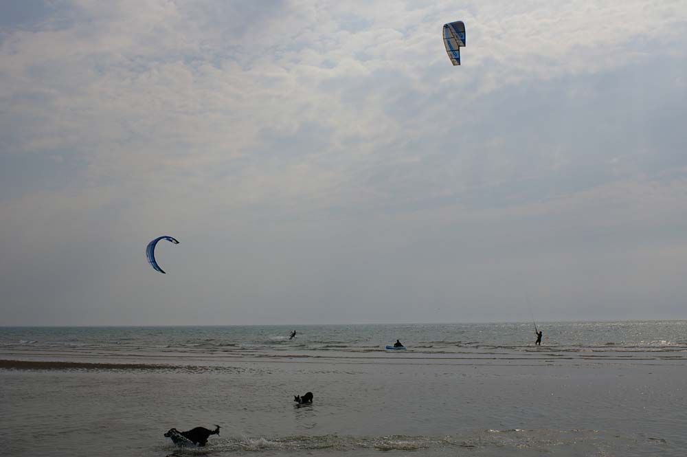 Click now to see this image full size.