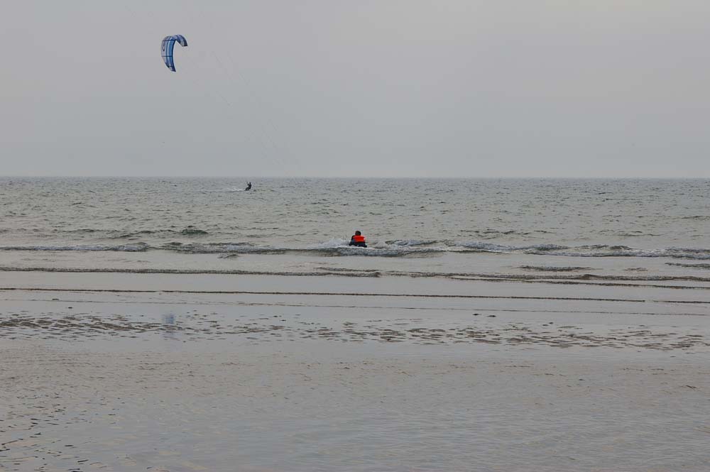 Click now to see this image full size.