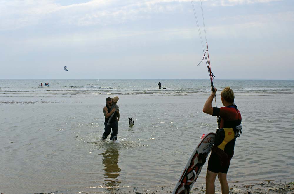 Click now to see this image full size.