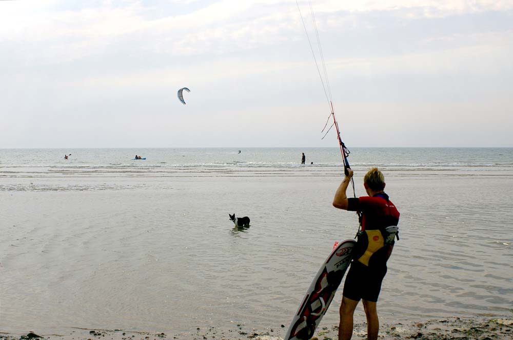 Click now to see this image full size.