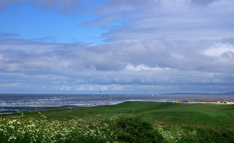 Click now to see this image full size.