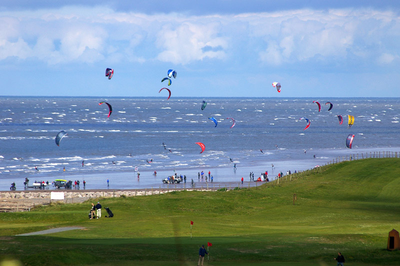 Click now to see this image full size.