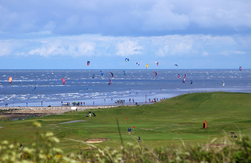 Click now to see this image full size.