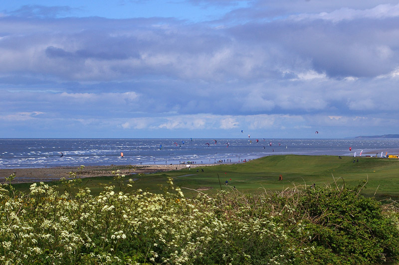 Click now to see this image full size.