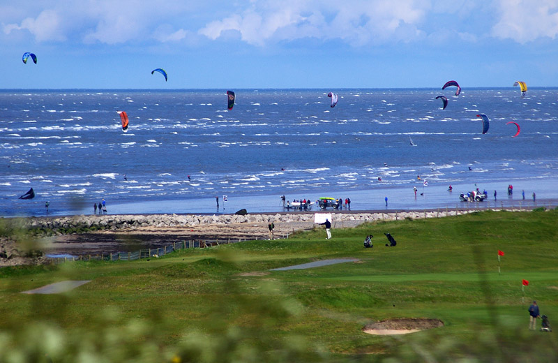 Click now to see this image full size.