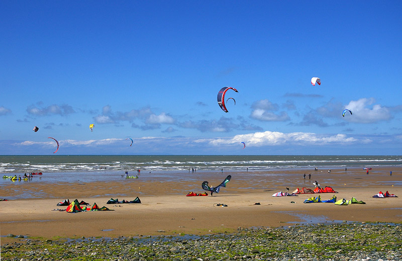 Click now to see this image full size.