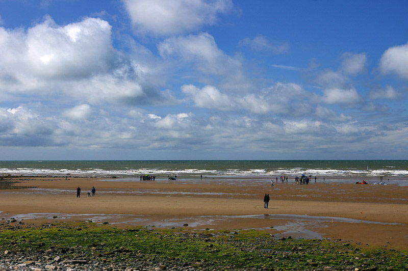 Click now to see this image full size.