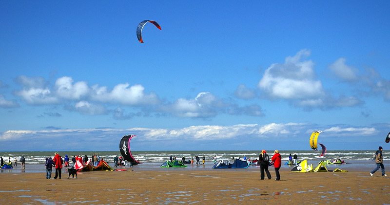 Click now to see this image full size.