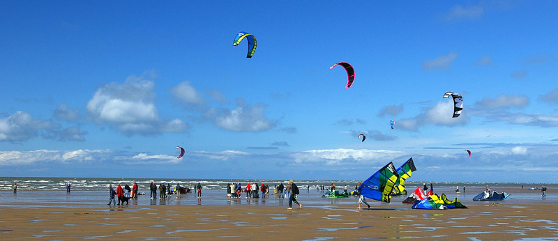 Click now to see this image full size.