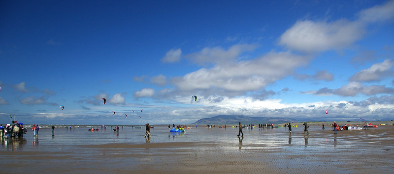 Click now to see this image full size.