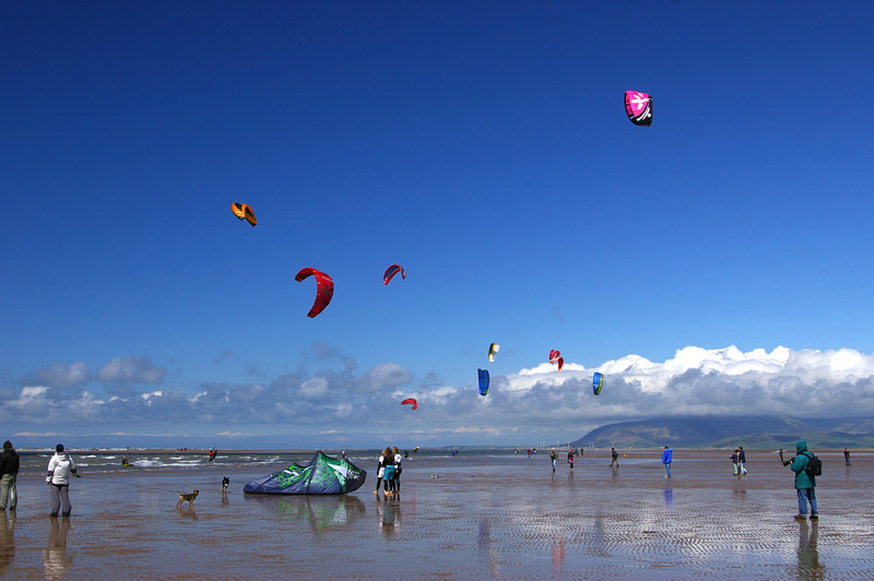 Click now to see this image full size.