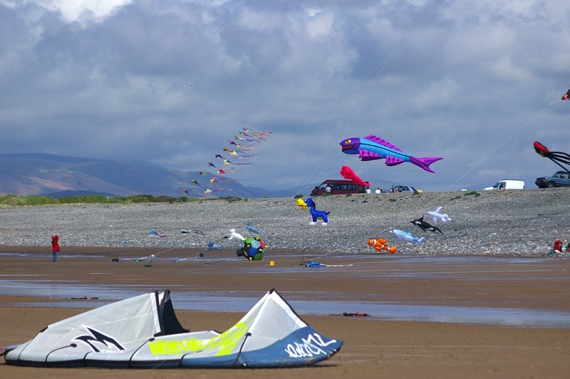 Click now to see this image full size.