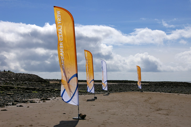 Click now to see this image full size.