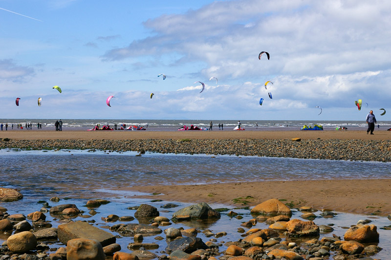 Click now to see this image full size.