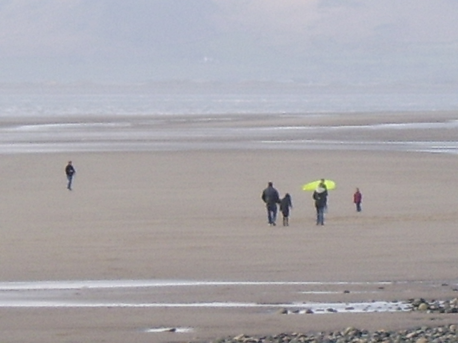 Click now to see this image full size.