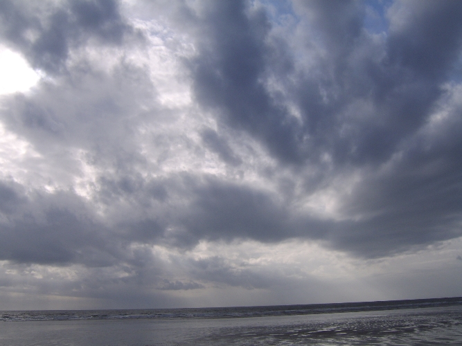 Click now to see this image full size.