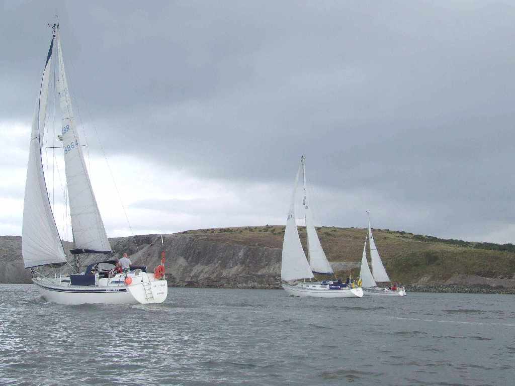 Click now to see this image full size.