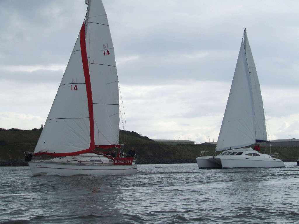 Click now to see this image full size.