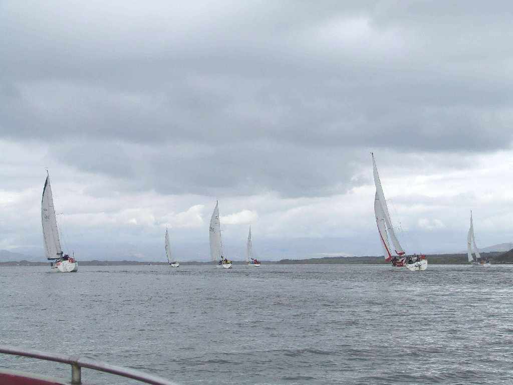 Click now to see this image full size.