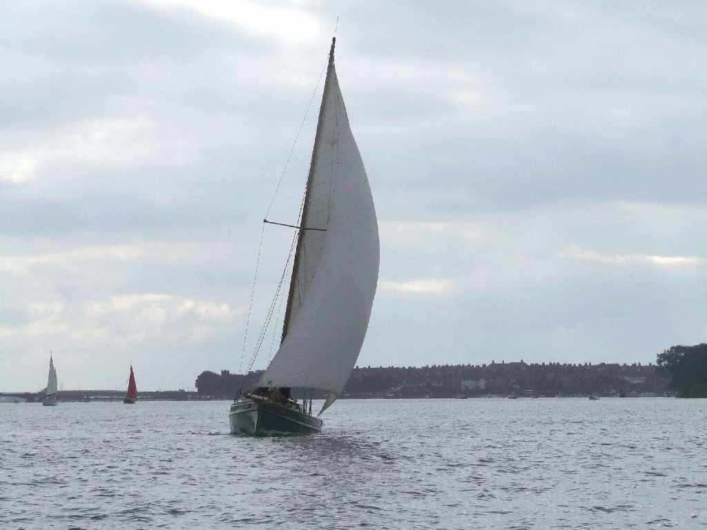 Click now to see this image full size.