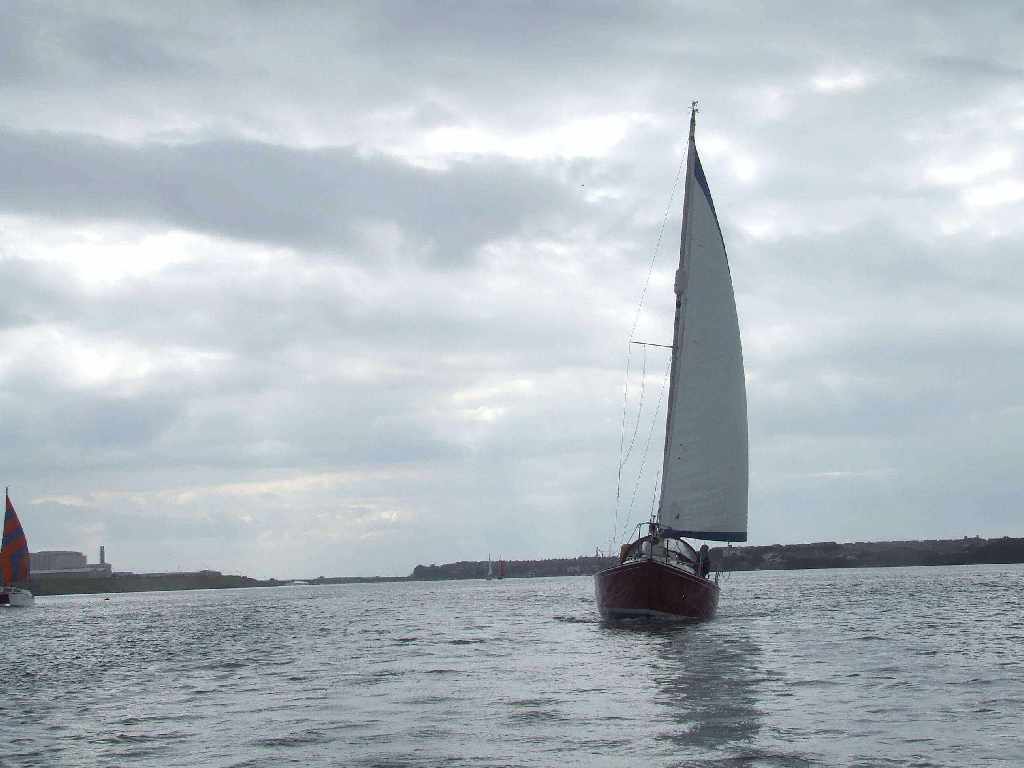 Click now to see this image full size.