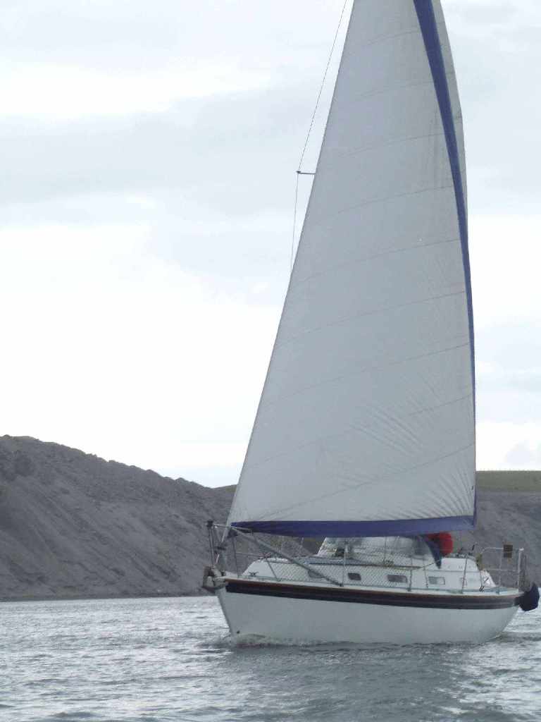 Click now to see this image full size.