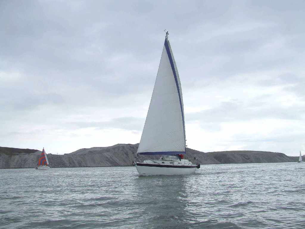 Click now to see this image full size.