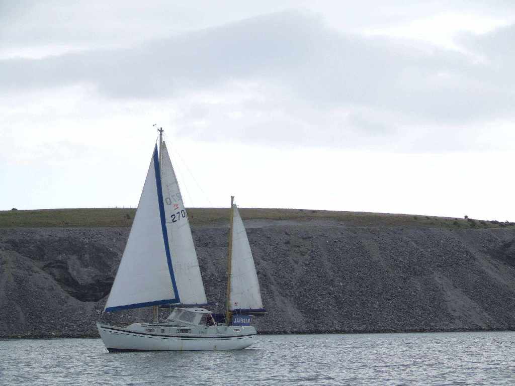 Click now to see this image full size.