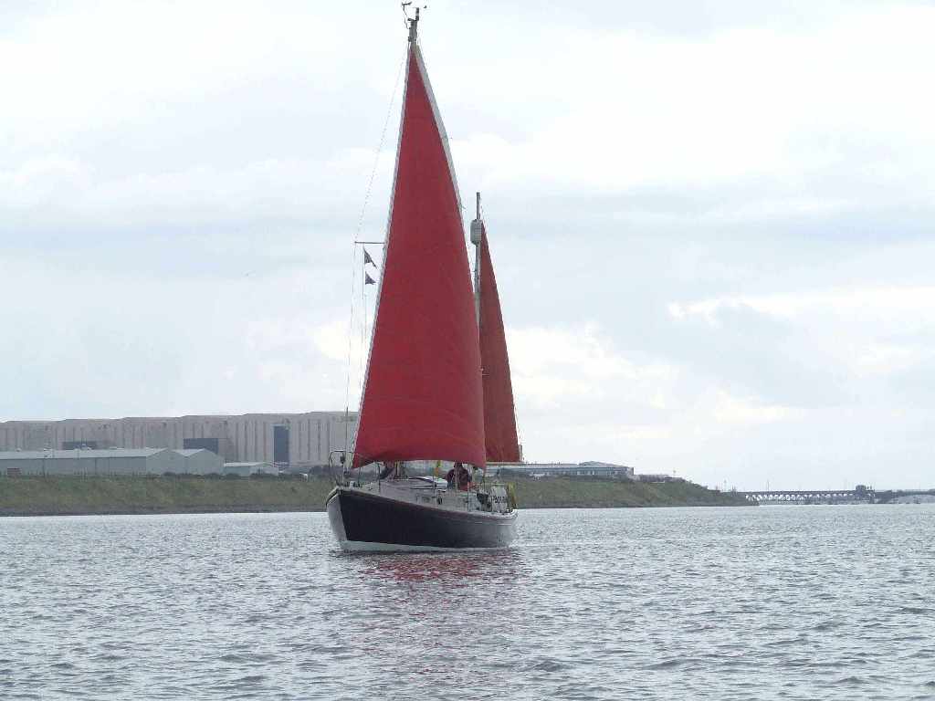 Click now to see this image full size.